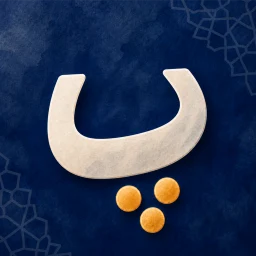 Learn Farsi (Persian) 아이콘